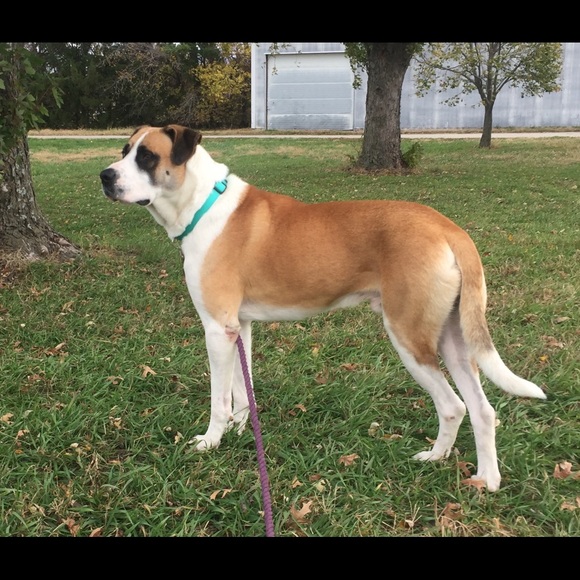 Meet your Posher, Tammy - Picture 2 of 8